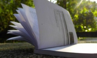 暖心可爱的句子说说心情 暖心的句子有哪些