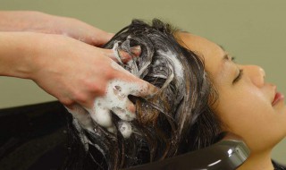 什么人不适合茶麸洗头 不宜茶麸洗头的人