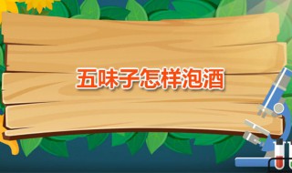 五味子怎样泡酒 这五种配方十分滋补