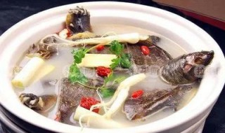 水鱼怎么做 怎么做水鱼