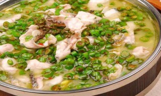 青椒跟鱼怎么做 青椒跟鱼的做法介绍