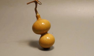 葫芦如何去皮 刚摘的葫芦怎样去皮