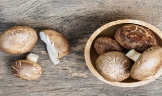 干香菇怎么泡 干香菇的泡法介绍