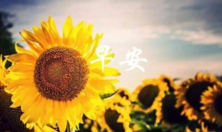 给女友早安的暖心句子 感动女友的暖心句子