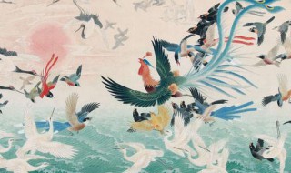 百鸟朝凤观后感 有关百鸟朝凤的观后感想介绍