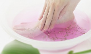 情商和智商经典句子 有关情商智商的句子精选