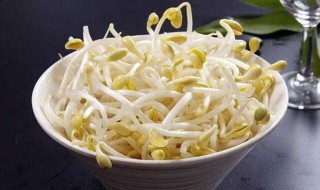 豆芽菜怎么保存 豆芽的保存方法
