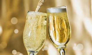 起泡酒喝不完怎么保存 如何保存喝不完的起泡酒