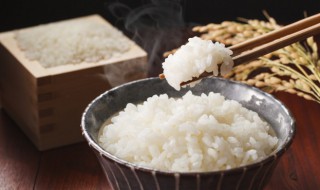 隔夜饭怎么保存 隔夜饭保存方法