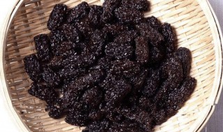 黑枣怎么保存 黑枣保存方法