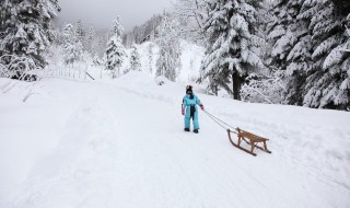 滑雪安全知识和技巧 滑雪的小知识与安全注意事项