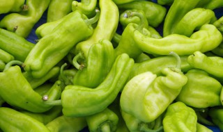 尖椒酿肉的方法 制作尖椒酿肉的方法