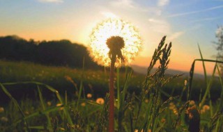 简单四字网名 小清新的四字昵称