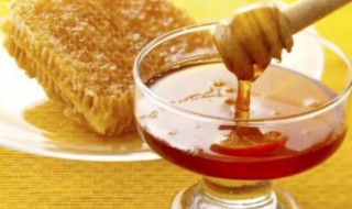 如何分辨蜂蜜真假 蜂蜜真假的分辨方法