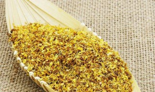 怎样制作桂花茶 桂花茶的制作步骤