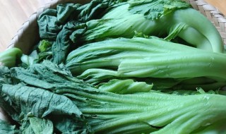 怎么腌芥菜 腌芥菜的方法