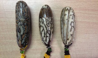 千眼菩提怎么盘 如何盘玩千眼菩提