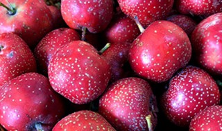 山楂怎样吃最好 白糖蒸山楂的做法介绍