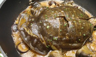 红烧甲鱼方法 如何制作红烧甲鱼