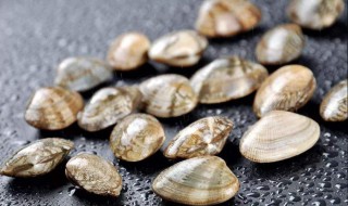 花甲怎么去沙 花甲去沙的方法介绍