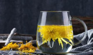 菊花做茶的步骤 新鲜菊花怎么做成菊花茶