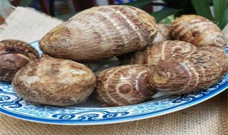 香芋种植的正确方法 香芋种植的正确方法简单介绍