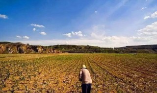 土地占地面积的计算方法 土地占地面积怎么计算
