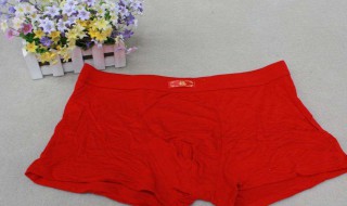 内裤怎么穿才正确的 男士内裤的正确穿法