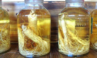 泡好的酒如何正确饮用 泡好的药酒正确喝法介绍