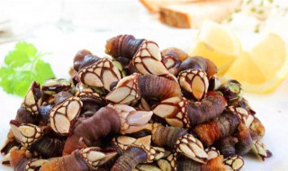 藤壶是什么东西 藤壶的危害及防治