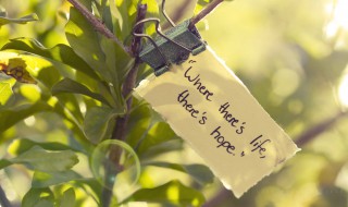 唯美小清新的爱情心语 唯美爱情语录短句精选