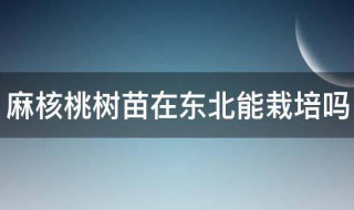 麻核桃树苗在东北能栽培吗 麻核桃树的生长环境介绍