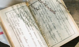 夫鹓鶵发于南海中的夫是什么意思 夫鹓鶵发于南海中的夫的意思