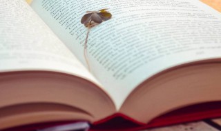 逝爱是什么意思 逝爱解释