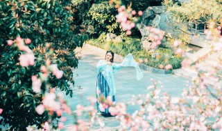 花有清香月有阴前一句是什么 花有清香月有阴全诗及译文