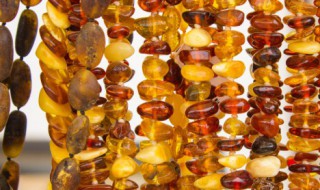 在文章琥珀里琥珀是什么意思 在文章琥珀里琥珀解释