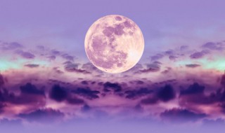 月是故乡明前一句是什么 月是故乡明原诗及译文