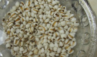 薏米怎么煮容易烂 快速煮薏米的方法技巧