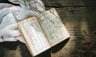 子亦有不利焉中的焉是什么意思 子亦有不利焉中的原文及翻译