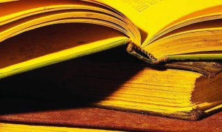 优美旋律是什么意思 优美旋律解释