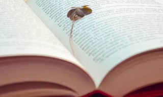 侯组词 侯怎么组词