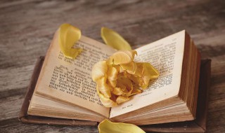 如组词 如怎么组词