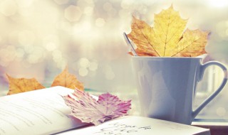 第组词 第怎么组词