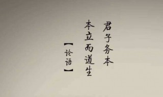 君子务本本立而道生道的含义是什么 君子务本本立而道生道意思是什么