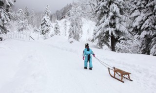 雪形成的原因是什么 雪形成的原因是啥