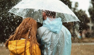 天上乌云盖下句是什么 天上乌云盖下句是啥