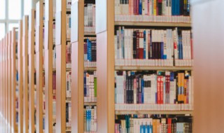 形容枯槁中的形容是什么意思 形容枯槁含义