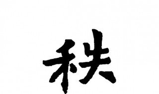 秩在古文中是什么意思 秩简单释义