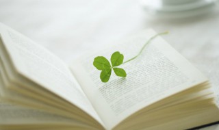 义气是什么意思 义气的含义