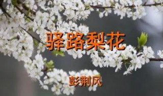 驿路梨花是什么意思 驿路梨花简单介绍